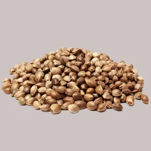 Buy Do-si-dos Feminized Seeds Online