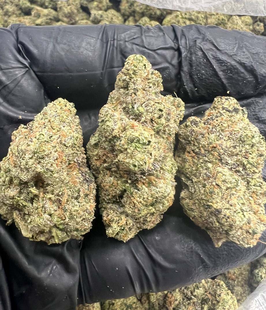 Buy AK-47 Weed Strain Online