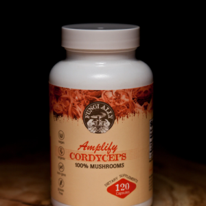 Amplify Cordyceps Capsules (120 Count)