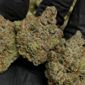 Buy Cali Brain Strain Online