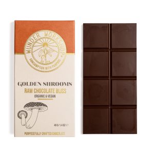 Golden Shrooms Raw CHOCOLATE BLISS BAR