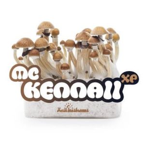 Grow Kit Mckennaii