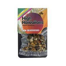Magic Truffles High Hawaiians