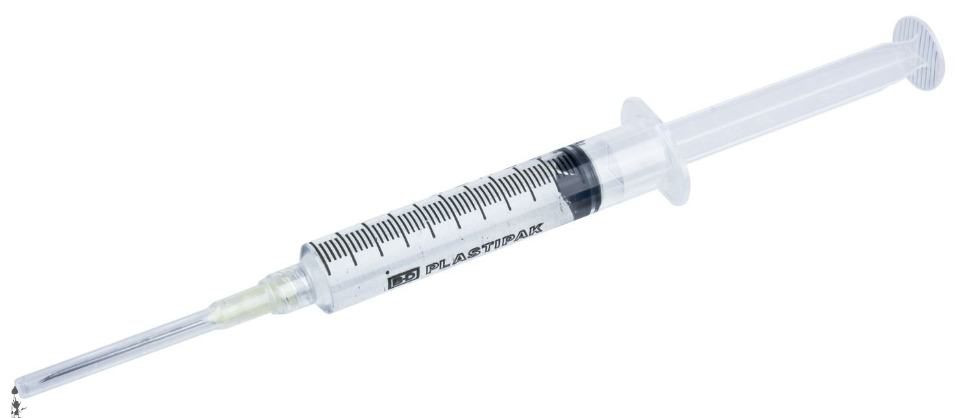 Mondo Spore Syringe Psilocybe Cubensis Cambodia