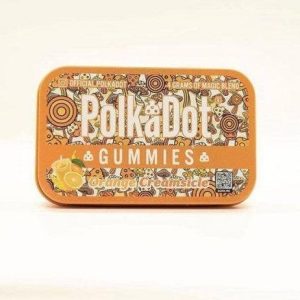 Polkadot Orange Creamsicle